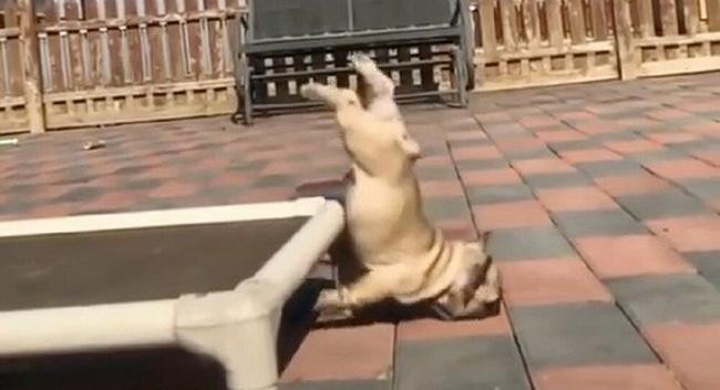 é sấp mặt là có thật! Thấy cũng tội nhưng thôi cứ cười đã.