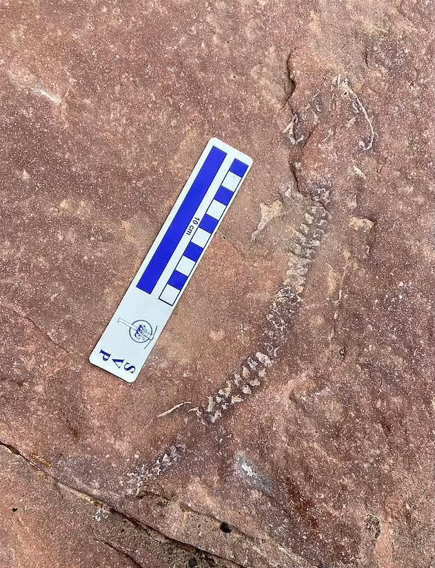 Xuong song ma quai hien ra tren vach da: loai chua tung biet tren the gioi