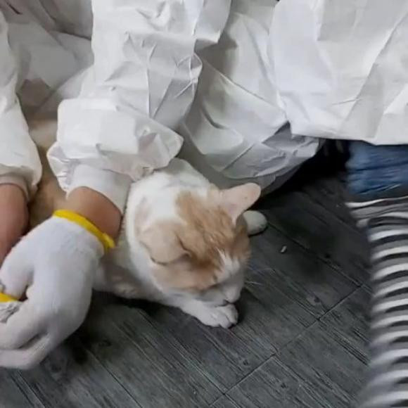 Ngoi sao noi tieng nhu Jang Nara cung phai di don ve sinh giua mua dich-Hinh-2