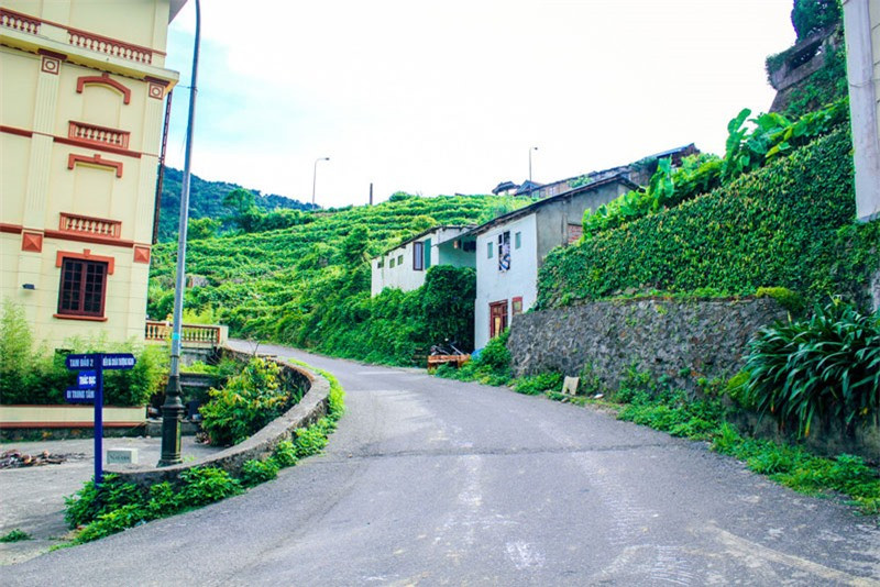 Trên địa bàn huyện có ngọn núi Tam Đảo cao 1.310m, nằm ở xã Hồ Sơn. Diện tích tự nhiên của huyện là 23.641,6 ha (236,42 km2), trong đó có hơn 120 km2 là thuộc vườn quốc gia Tam Đảo. Ảnh: Tuấn Phong.