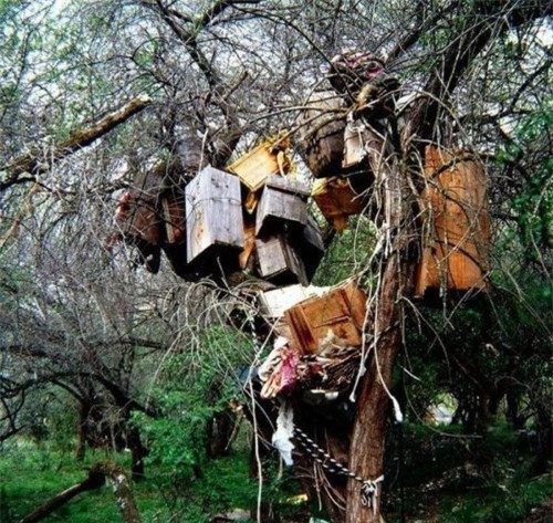 Những tập tục mai táng kỳ quái trên thế giới ảnh 1