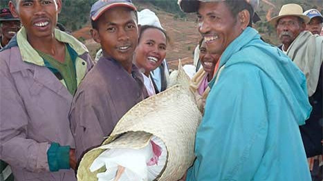 Những tập tục mai táng kỳ quái trên thế giới ảnh 5