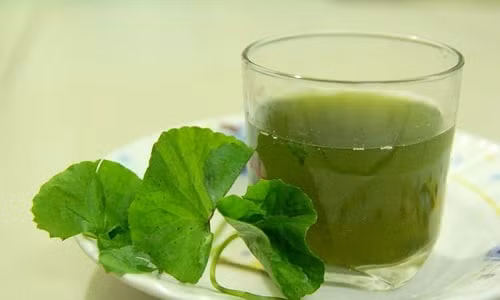 6 loai do uong bo phoi, ngua viem nhiem duong ho hap-Hinh-2