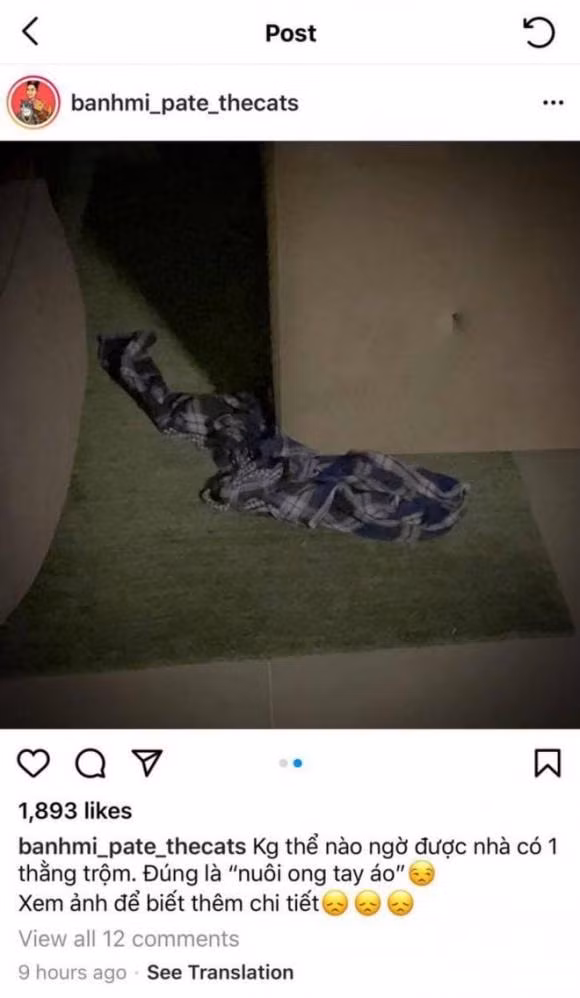 Toc Tien bat ngo va ngam am chi: 