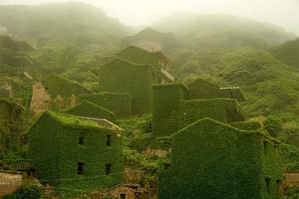 Làng chài bị bỏ hoang ở tỉnh Chiết Giang, Trung Quốc đẹp như cổ tích khi được khoác lên mình tấm áo xanh của cây cỏ dại.