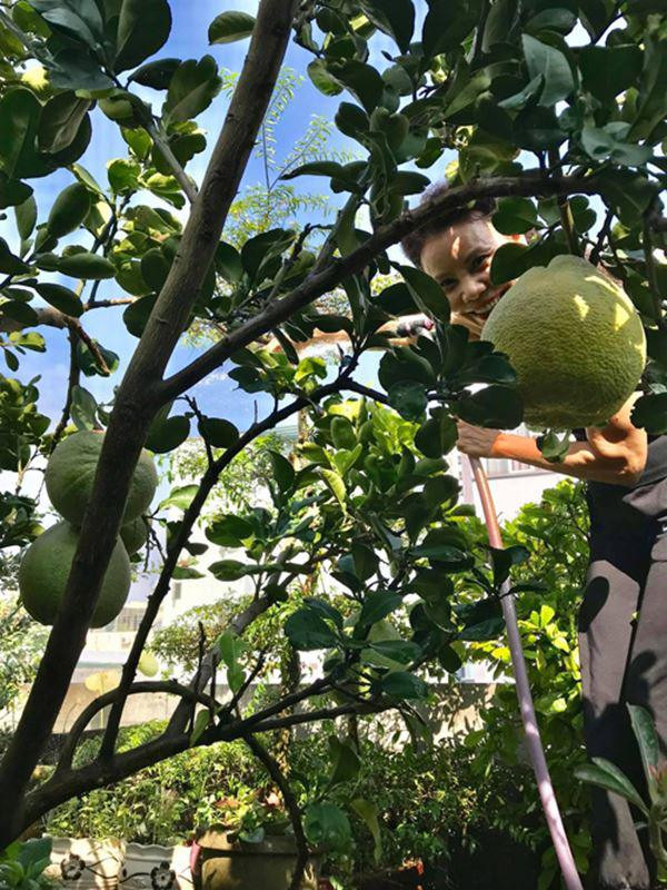 Bo me Ho Ngoc Ha lam nong dan du giau nut do do vach-Hinh-7