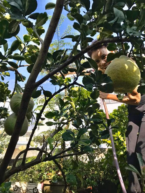Bo me Ho Ngoc Ha lam nong dan du giau nut do do vach-Hinh-7