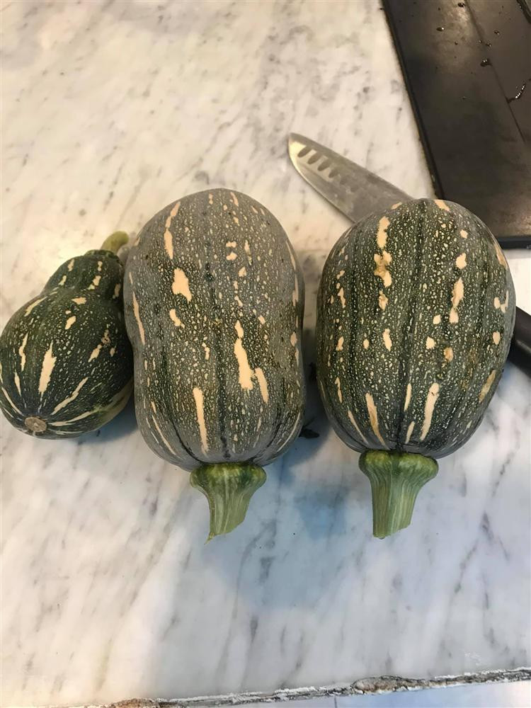 Bo me Ho Ngoc Ha lam nong dan du giau nut do do vach-Hinh-2