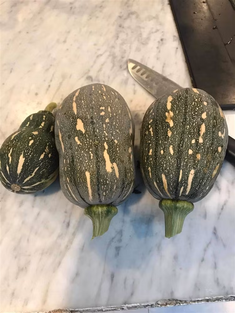 Bo me Ho Ngoc Ha lam nong dan du giau nut do do vach-Hinh-2