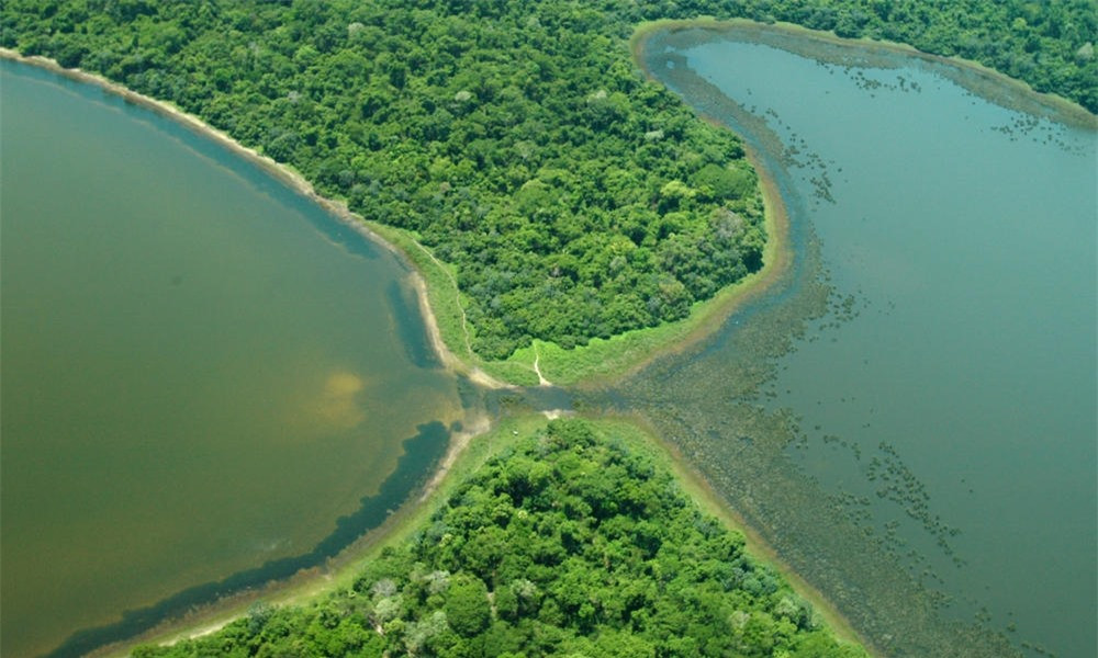 Sự thật thú vị về Pantanal, vùng nước ngập mặn lớn nhất thế giới ảnh 11