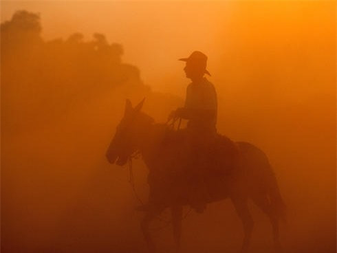 Sự thật thú vị về Pantanal, vùng nước ngập mặn lớn nhất thế giới ảnh 9