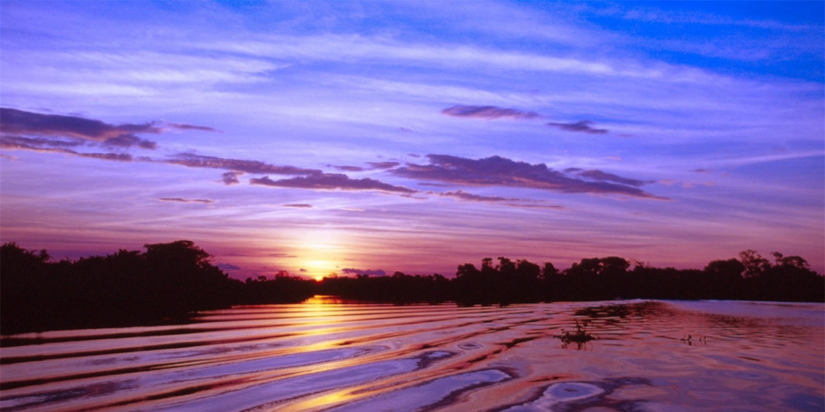 Sự thật thú vị về Pantanal, vùng nước ngập mặn lớn nhất thế giới ảnh 4