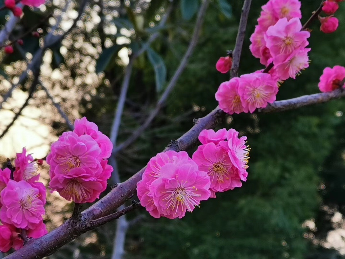 Sinh trúng ngày Âm này, chỉ cần không lười biếng sau tuổi 40 ắt giàu Sinh trung ngay Am nay, chi can khong luoi bieng sau tuoi 40 at giau