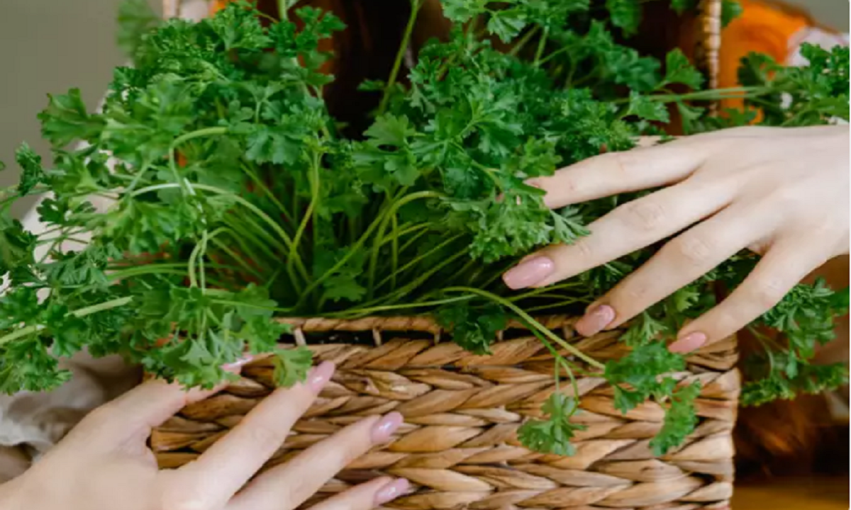 Bat mi nhung loai thuc pham giup giam tac dung phu cua vaccine COVID-19-Hinh-3