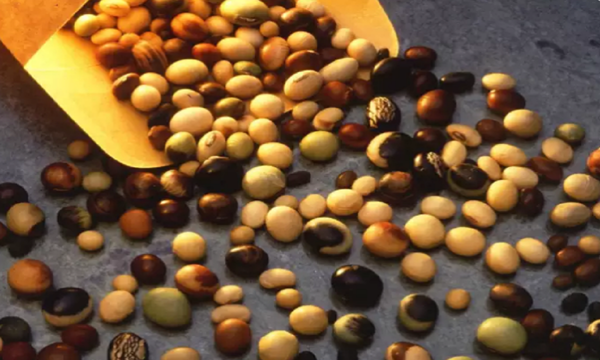 Bat mi nhung loai thuc pham giup giam tac dung phu cua vaccine COVID-19-Hinh-5