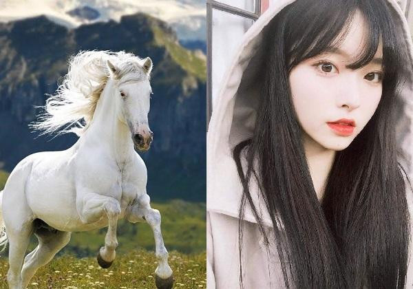 Top 3 con giap nong nay nhung la khong the thieu trong gia dinh