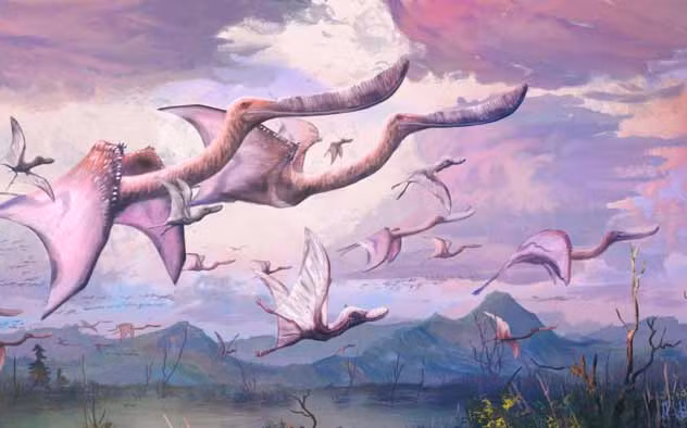 Dang so quai vat vua no ra da biet bay va thanh 