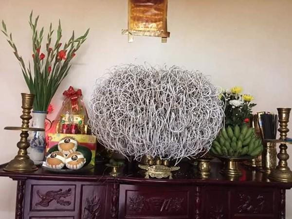 Bat huong co thu cuon vong ai nhin cung khen nhieu loc-Hinh-2