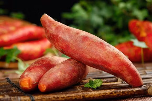 An khoai lang xuong can nhanh nhung khong phai ai cung biet cach-Hinh-3