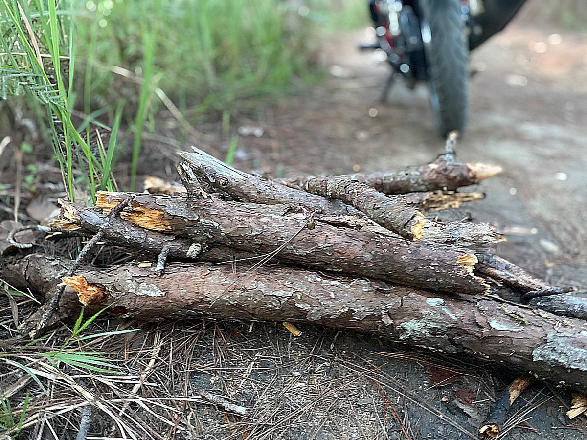 Co gai bo viec, mot minh vao Da Lat lap nghiep voi 7 trieu dong-Hinh-5