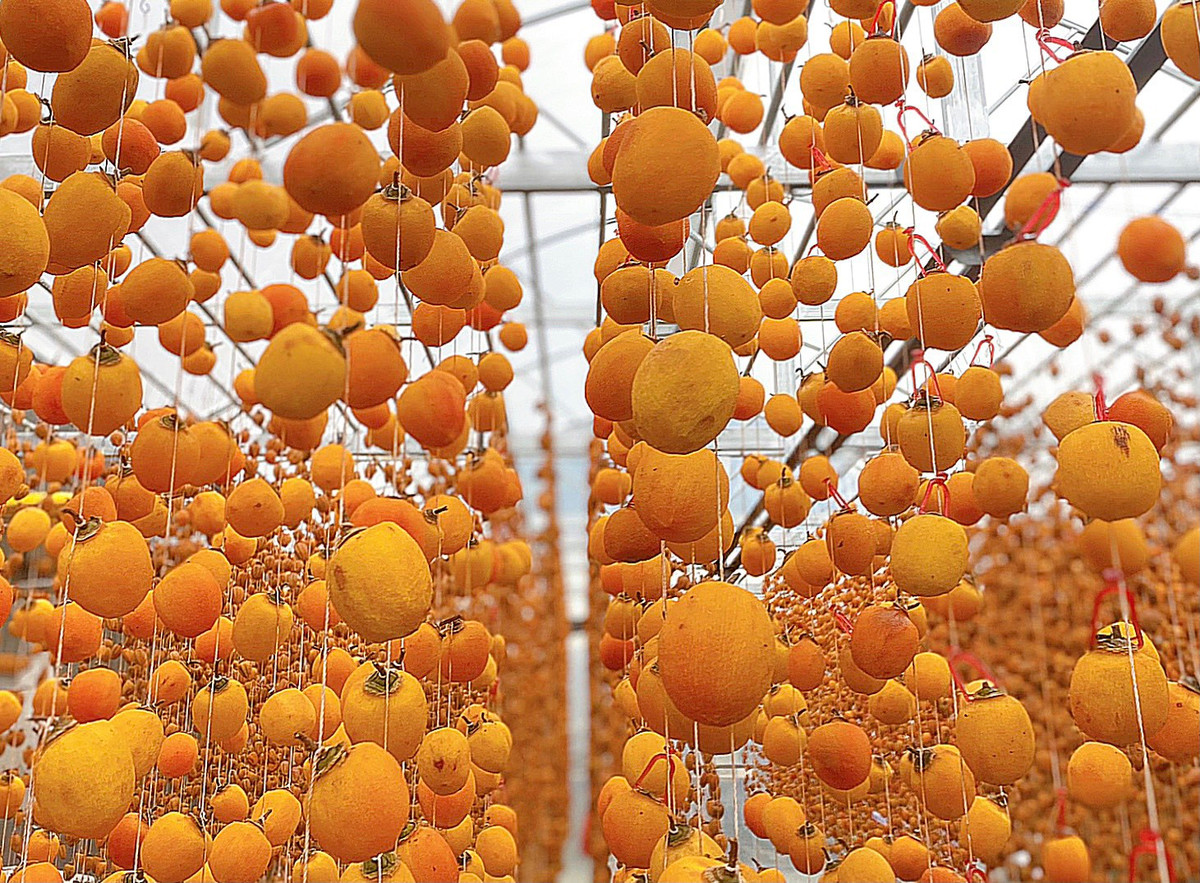 Co gai bo viec, mot minh vao Da Lat lap nghiep voi 7 trieu dong-Hinh-4