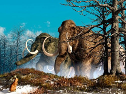 Voi ma mút khổng lồ nặng thế nào và vì sao chúng tuyệt chủng? Voi ma mut khong lo nang the nao va vi sao chung tuyet chung?