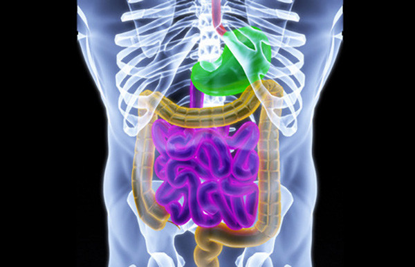 2 loại vi khuẩn trong miệng có thể là "động lực" của ung thư - Hình 3 2 loai vi khuan trong mieng co the la