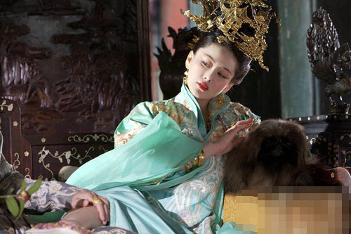 Vị thái giám nhà Đường gan to bằng trời và kết cục bi thảm - Hình 3 Vi thai giam nha Duong gan to bang troi va ket cuc bi tham-Hinh-3