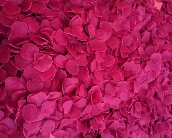 Giang vien dai hoc khoi nghiep voi thu banh la, ban ca chuc nghin chiec-Hinh-3