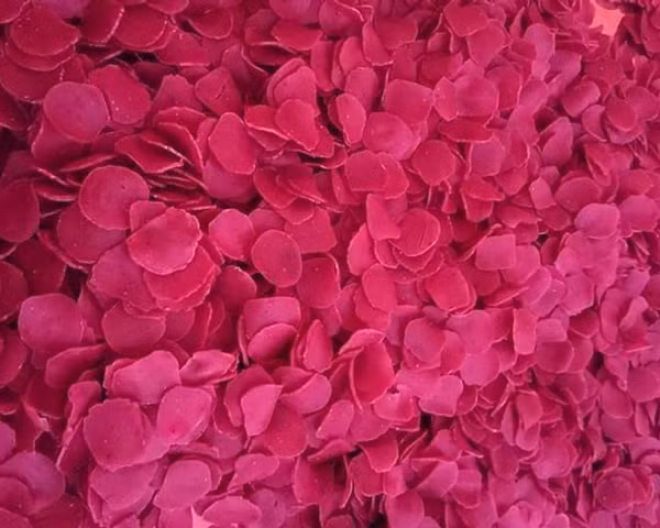 Giang vien dai hoc khoi nghiep voi thu banh la, ban ca chuc nghin chiec-Hinh-3