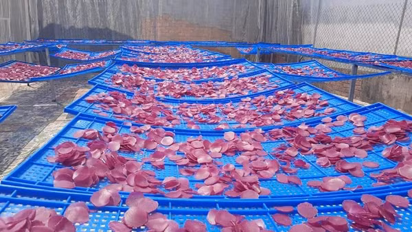 Giang vien dai hoc khoi nghiep voi thu banh la, ban ca chuc nghin chiec-Hinh-2