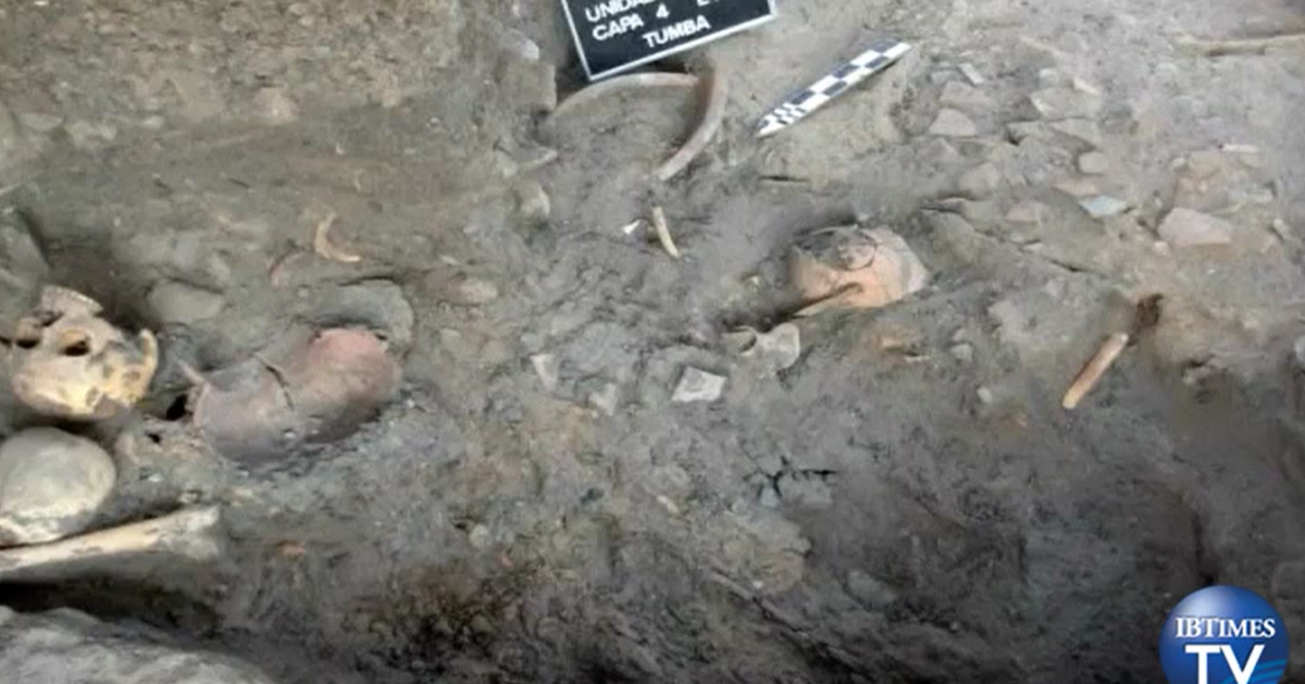 Cải tạo đất trồng, lão nông rủn người thấy 1 thứ lộ ra Cai tao dat trong, lao nong run nguoi thay 1 thu lo ra