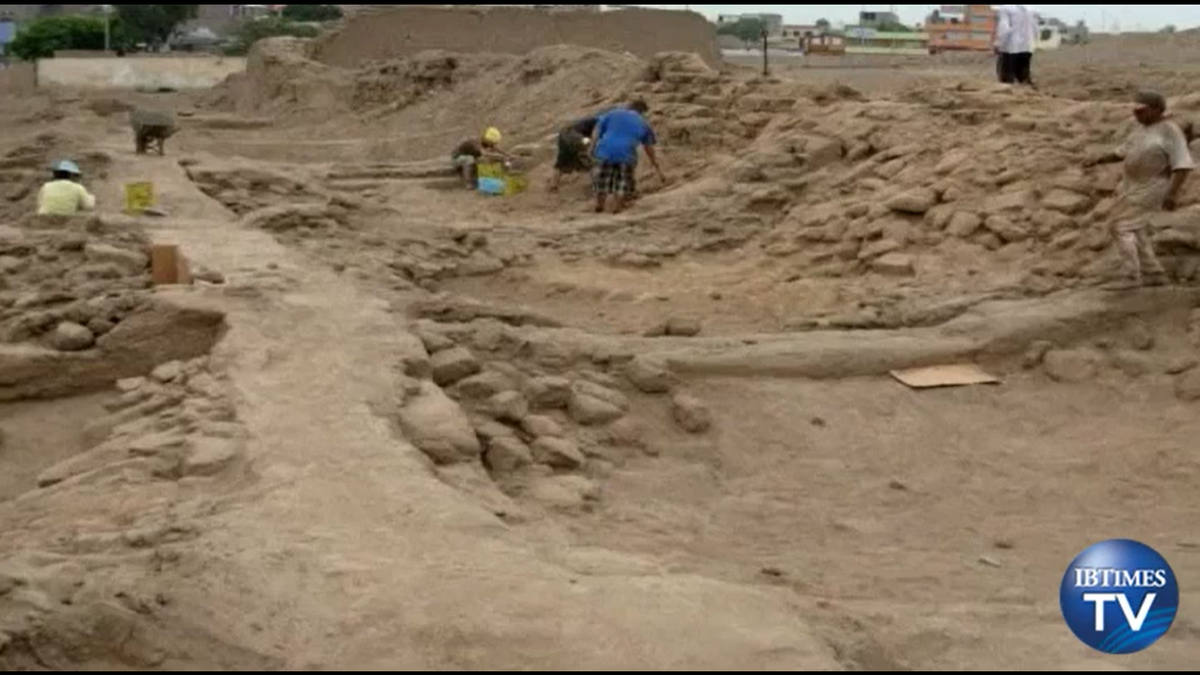 Cải tạo đất trồng, lão nông rủn người thấy 1 thứ lộ ra - Hình 4 Cai tao dat trong, lao nong run nguoi thay 1 thu lo ra-Hinh-4