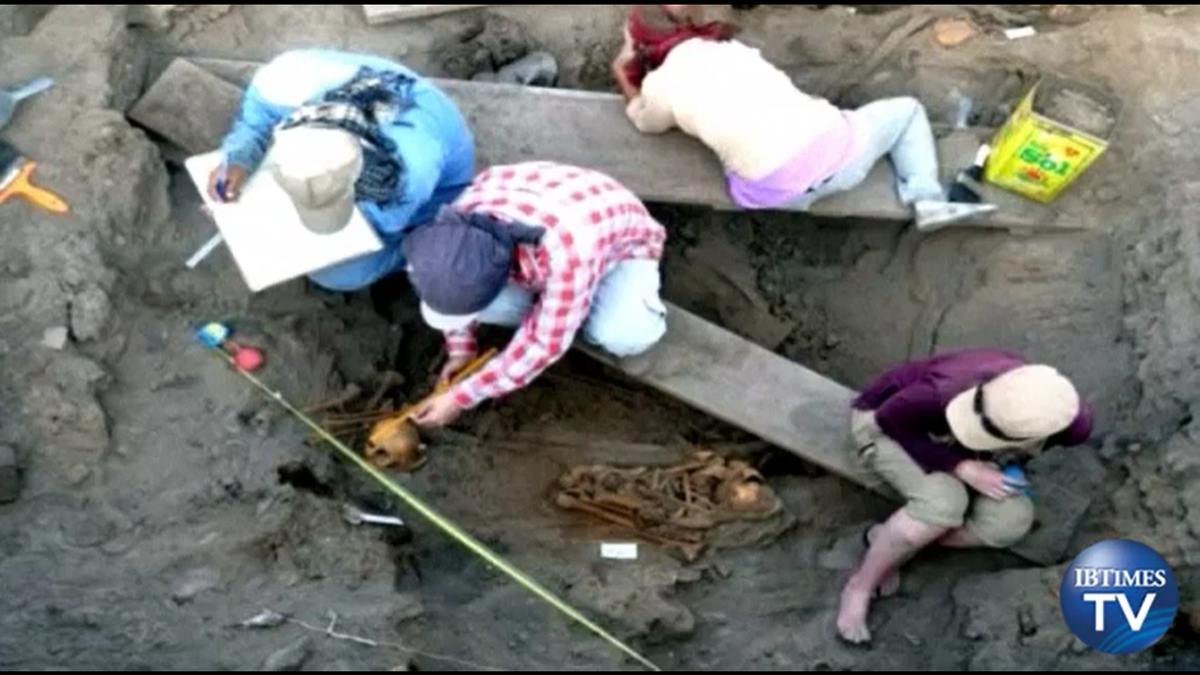 Cải tạo đất trồng, lão nông rủn người thấy 1 thứ lộ ra - Hình 3 Cai tao dat trong, lao nong run nguoi thay 1 thu lo ra-Hinh-3