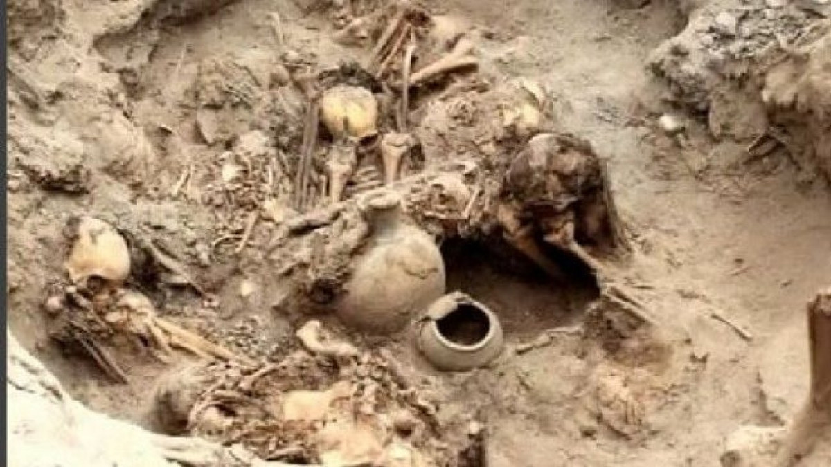 Cải tạo đất trồng, lão nông rủn người thấy 1 thứ lộ ra - Hình 2 Cai tao dat trong, lao nong run nguoi thay 1 thu lo ra-Hinh-2