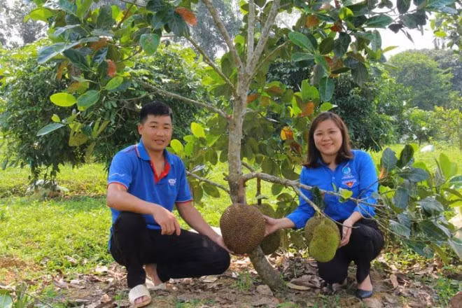 Chang trai 9X bien manh dat hoang thanh trang trai tram trieu-Hinh-2