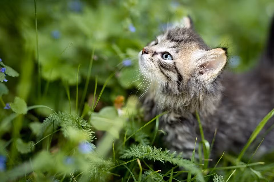  Con giáp tuổi Mão. Người tuổi Mão nhân hậu, bao dung nên được nhiều người yêu mến. Trong công việc, họ cũng là người nhanh nhẹn, mưu trí, có con mắt nhìn xa trông rộng.