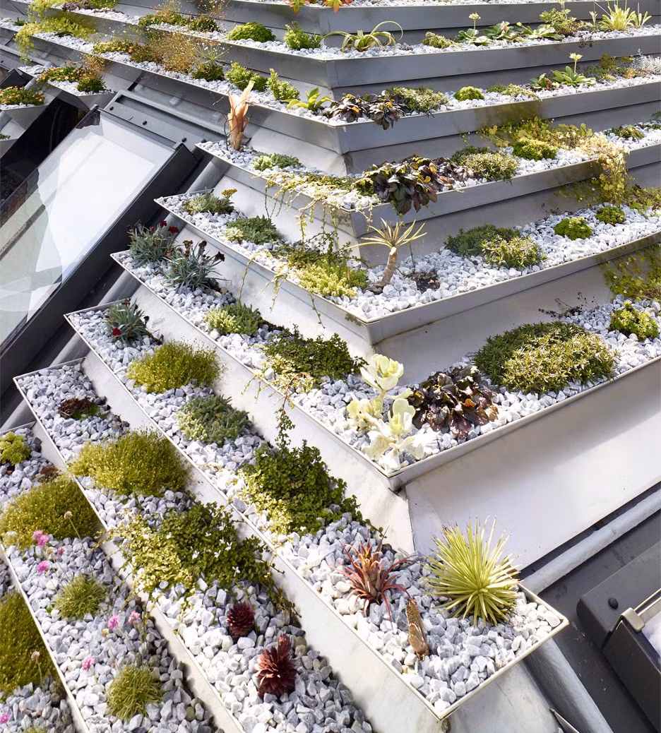 Trước đây, chủ nhà xây dựng một xưởng may trang phục cho các bộ phim trên nền căn nhà Garden House ngày nay. Sau hơn 25 năm sử dụng, công trình bị hư hỏng nên được xây dựng lại khang trang như hiện nay.