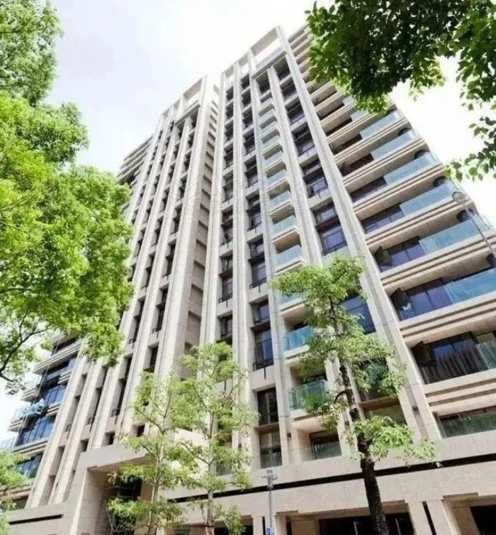 Soi biệt thự Vương Lực Hoành tặng vợ cũ: Thừa rộng để mở concert riêng ảnh 1