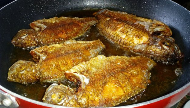 8 loai ca dai bo re hon thit lon lai rat giau canxi, DHA-Hinh-3