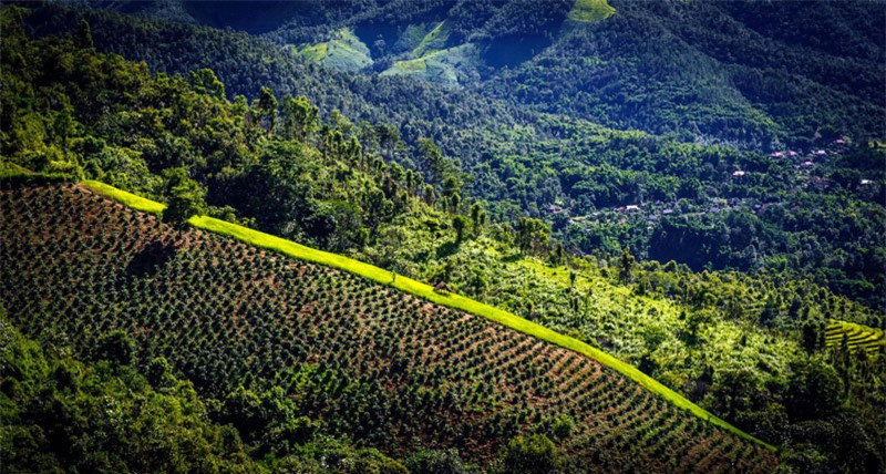 Đứng trên dốc đèo phía tỉnh Điện Biên nhìn xuống du khách sẽ thấy thung lũng Mường Quài trải rộng với ngút ngàn màu xanh của đồi núi, thấp thoáng những làng bản đầu tiên của huyện Tuần Giáo (Điện Biên). Ảnh: Le Hong Ha.