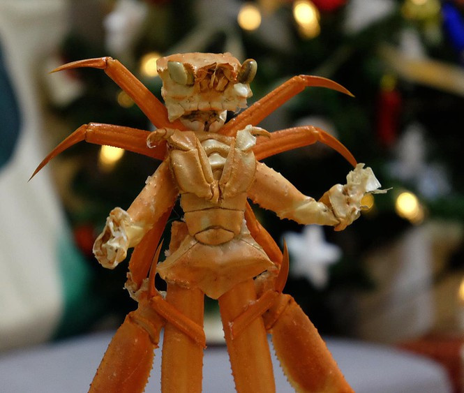 Anh chang bien hoa con cua thanh mo hinh sieu nhan-Hinh-3