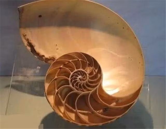 Cốc rượu kỳ dị "uống mãi không hết" trong ngôi mộ cổ - Hình 4 Coc ruou ky di