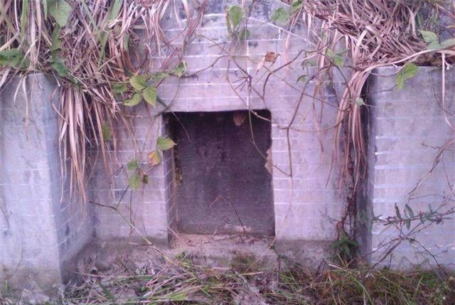 Khai quật mộ cổ 500 năm của nhà sư: Xuất hiện hai con "quái thú" còn sống Khai quat mo co 500 nam cua nha su: Xuat hien hai con