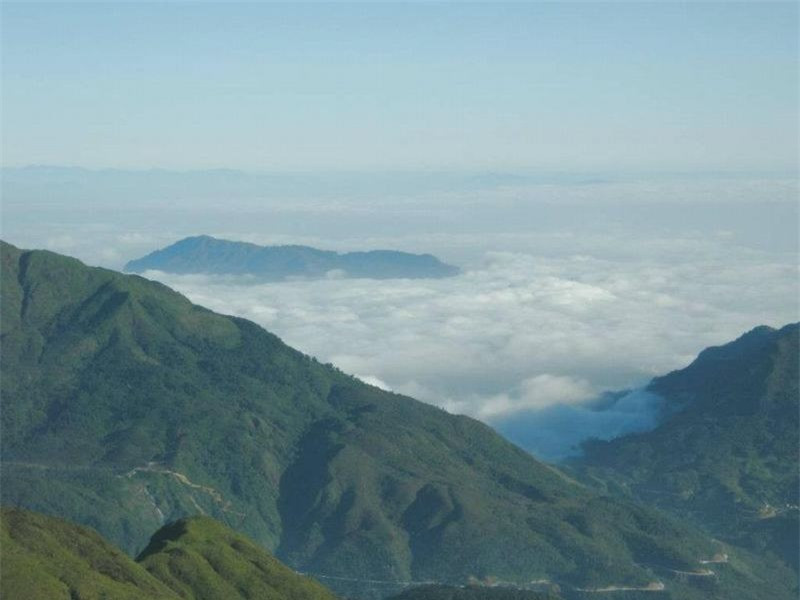 Phía trên và dưới đèo là những cánh rừng già xanh thẳm đến ngút ngàn.