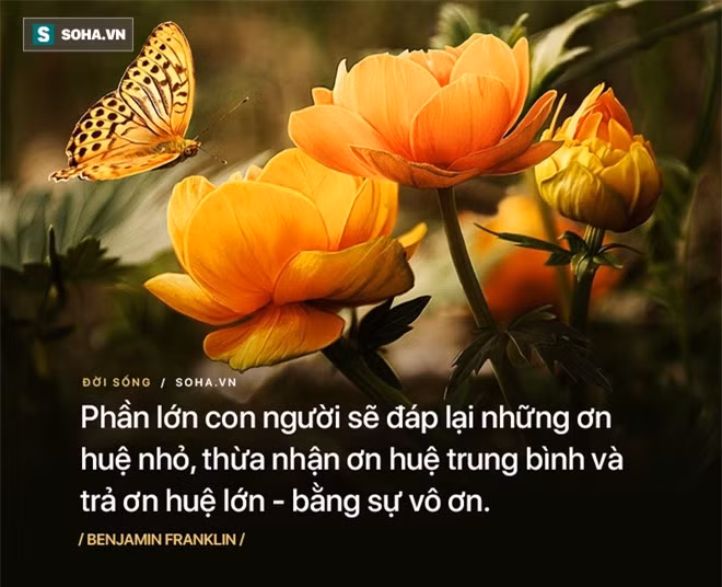 Thuc te nhac nguoi tot nen tinh tao, ke vo on can xem lai minh-Hinh-2