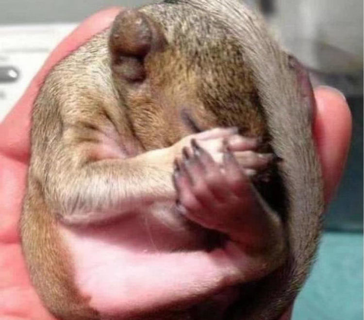 Chang trai mung ra mat khi nhan ra 