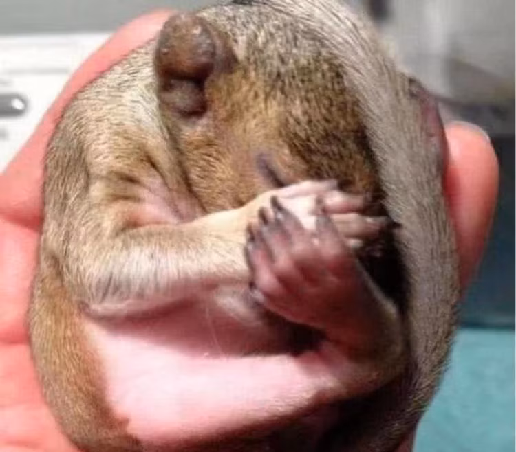 Chang trai mung ra mat khi nhan ra 