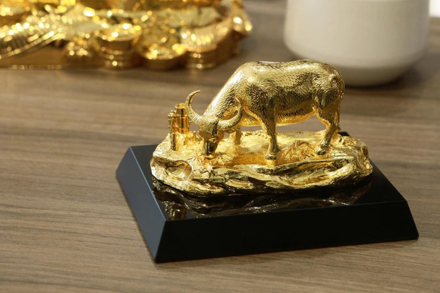 Nam Tan Suu: Gia chu dat thu nay trong nha cuc ky hut loc