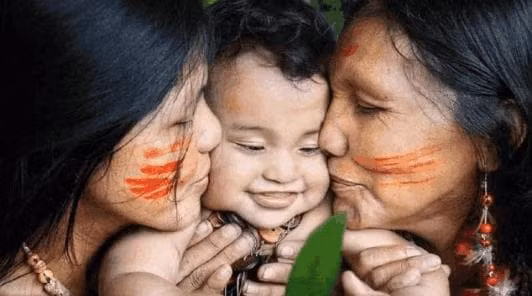 Bo lac khong co dan ong: Phu nu sinh con theo cach dac biet